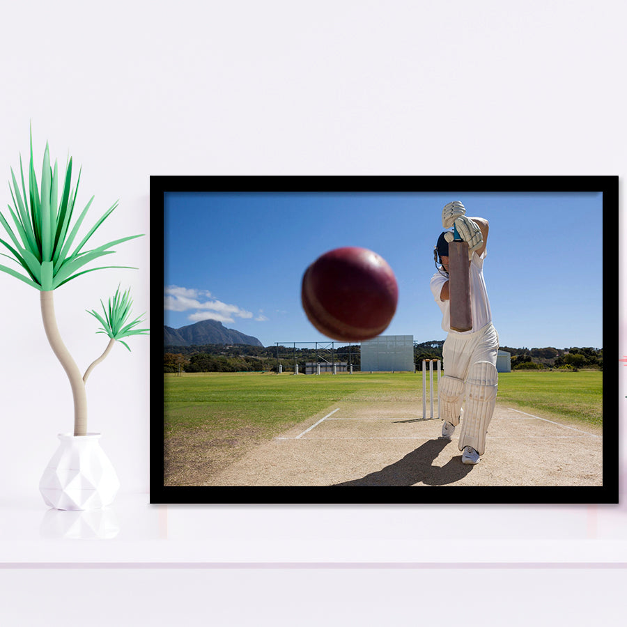 Nice Game Cricket, Stadium Canvas, Sport Art, Gift for him, Framed Art Prints Wall Art Decor, Framed Picture
