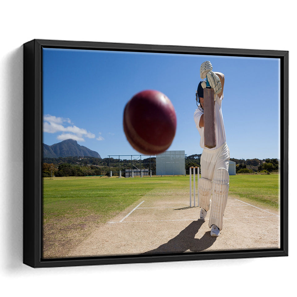 Nice Game Cricket, Stadium Canvas, Sport Art, Gift for him, Framed Canvas Prints Wall Art Decor, Framed Picture