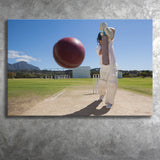 Nice Game Cricket, Stadium Canvas, Sport Art, Gift for him, Fan Gift, Canvas Prints Wall Art Decor