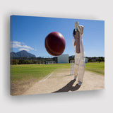 Nice Game Cricket, Stadium Canvas, Sport Art, Gift for him, Fan Gift, Canvas Prints Wall Art Decor