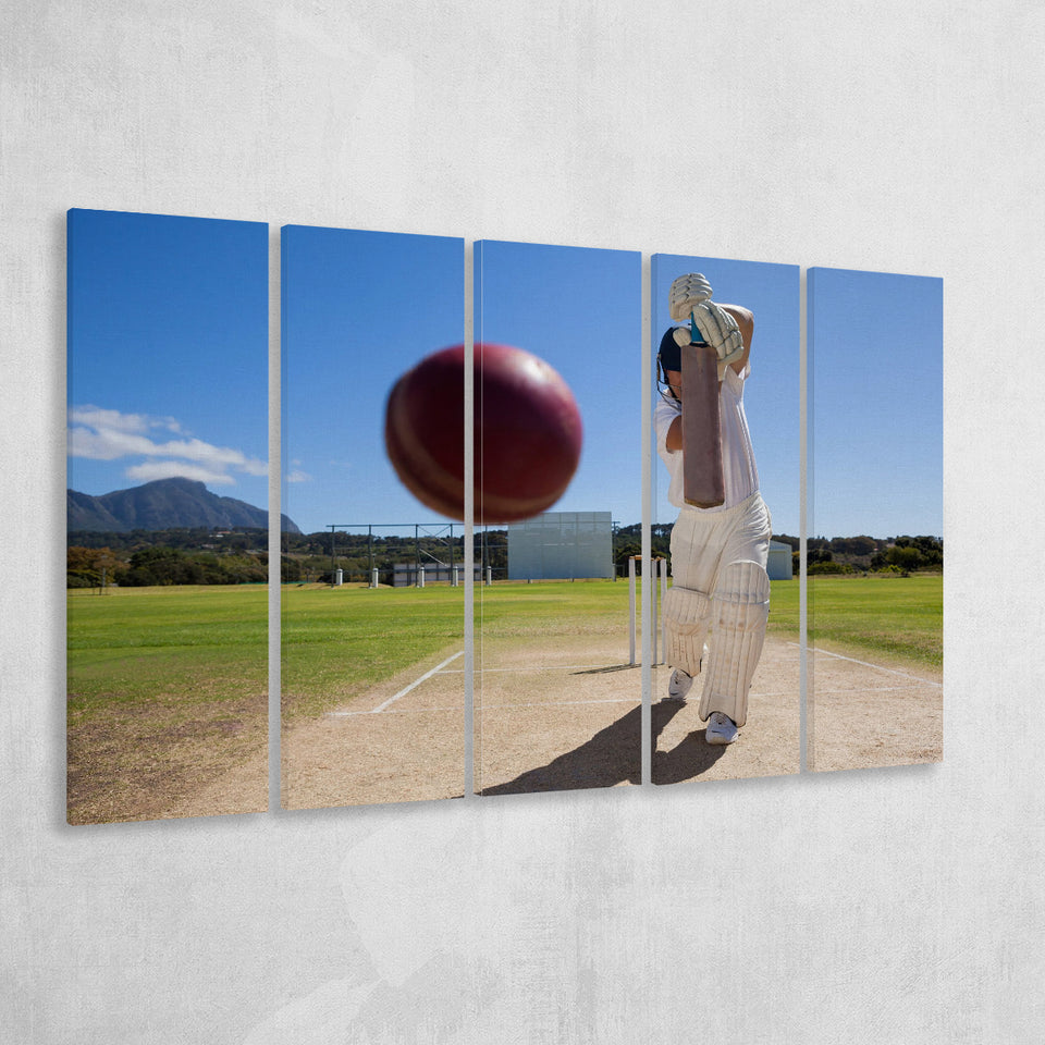 Nice Game Cricket, Stadium Canvas, Sport Art, Gift for him, Multi Panels B, Canvas Prints Wall Art Decor