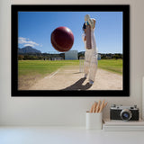 Nice Game Cricket, Stadium Canvas, Sport Art, Gift for him, Framed Art Prints Wall Art Decor, Framed Picture