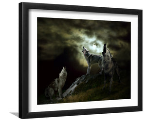 Night of the Wolves-Canvas art,Art print,Frame art