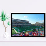 North Texas Mean Green Wall Art Apogee Stadium,Sport Stadium Art Prints, Fan Gift, Wall Decor