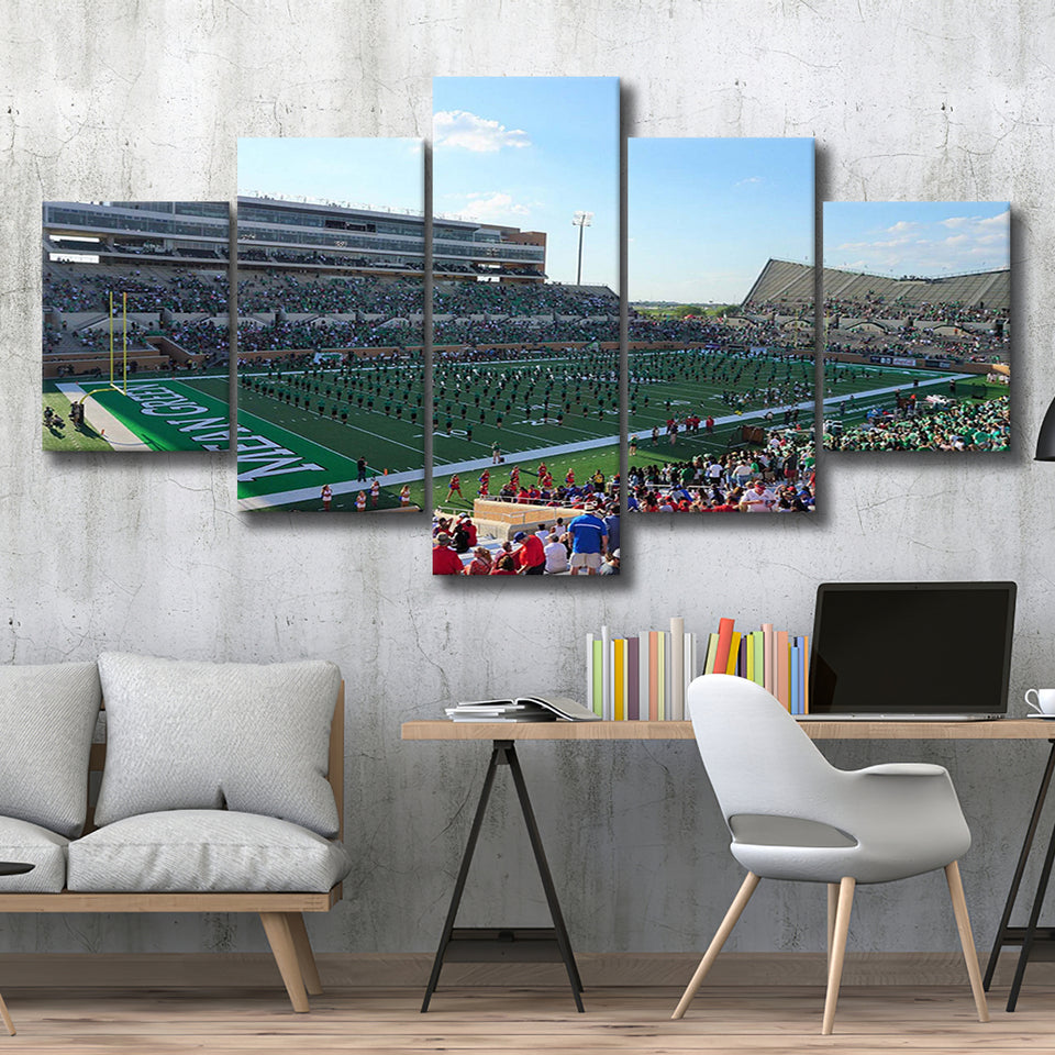 North Texas Mean Green Wall Art Apogee Stadium,Multi Panels,Sport Stadium Art Prints, Fan Gift