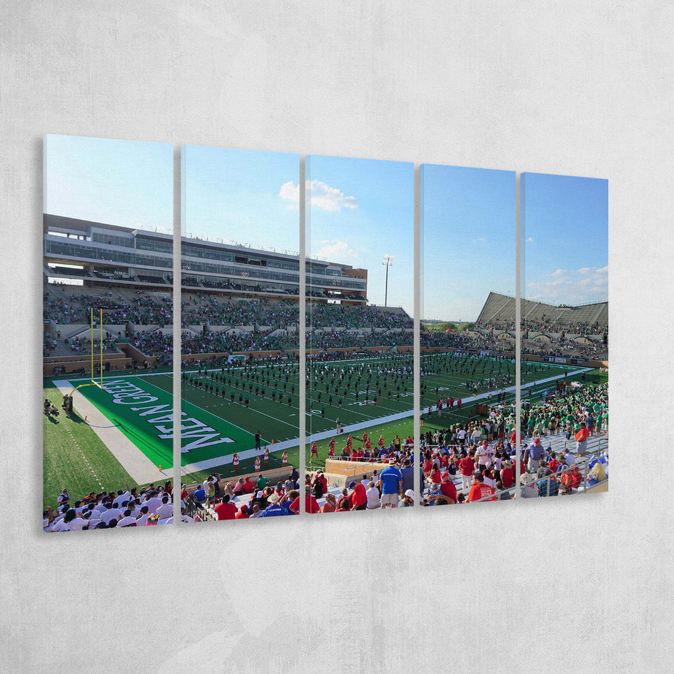 North Texas Mean Green Wall Art Apogee Stadium,Multi Panels B,Sport Stadium Art Prints, Fan Gift
