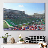 North Texas Mean Green Wall Art Apogee Stadium,Sport Stadium Art Prints, Fan Gift, Wall Decor