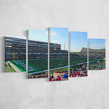 North Texas Mean Green Wall Art Apogee Stadium,Multi Panels,Sport Stadium Art Prints, Fan Gift