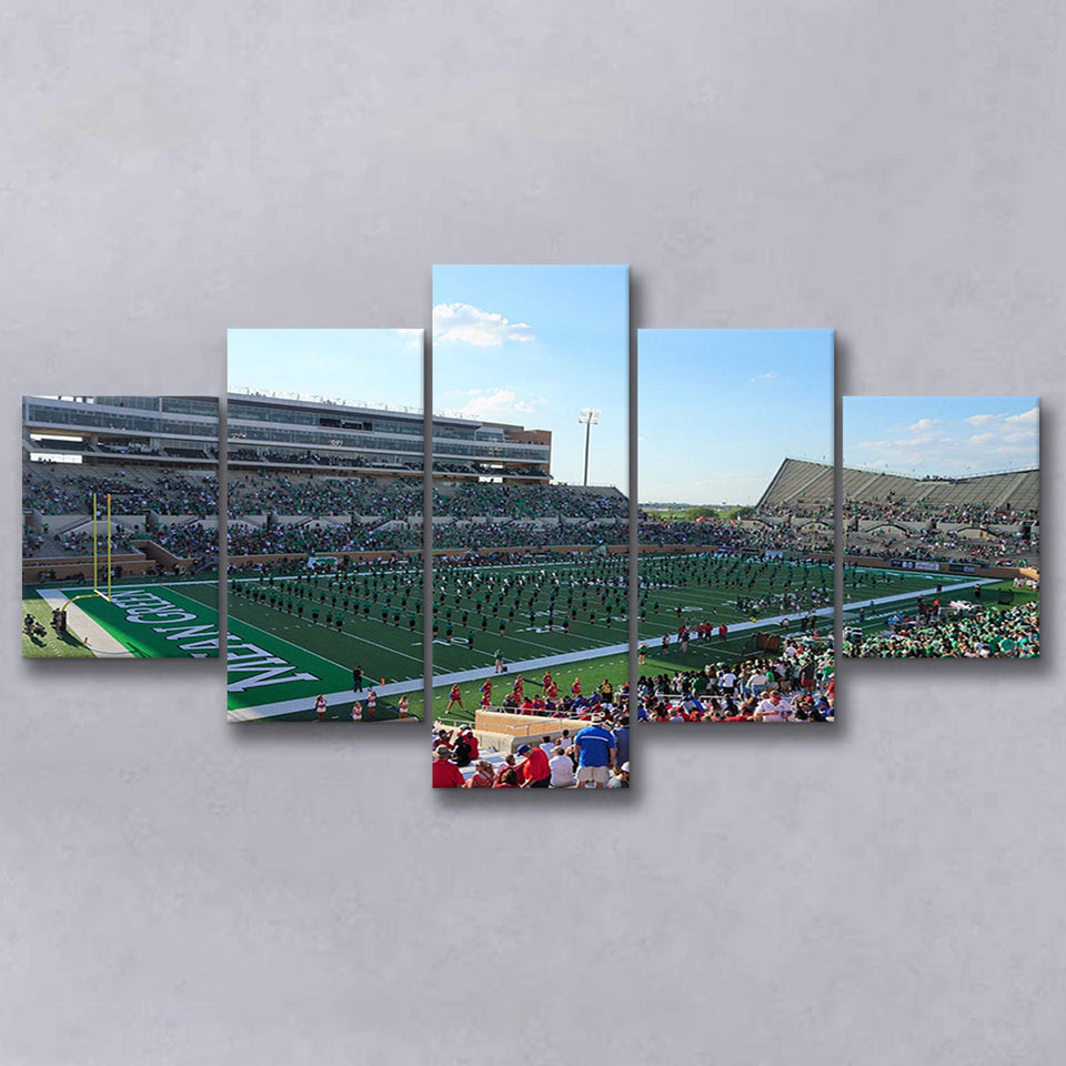 North Texas Mean Green Wall Art Apogee Stadium,Multi Panels,Sport Stadium Art Prints, Fan Gift