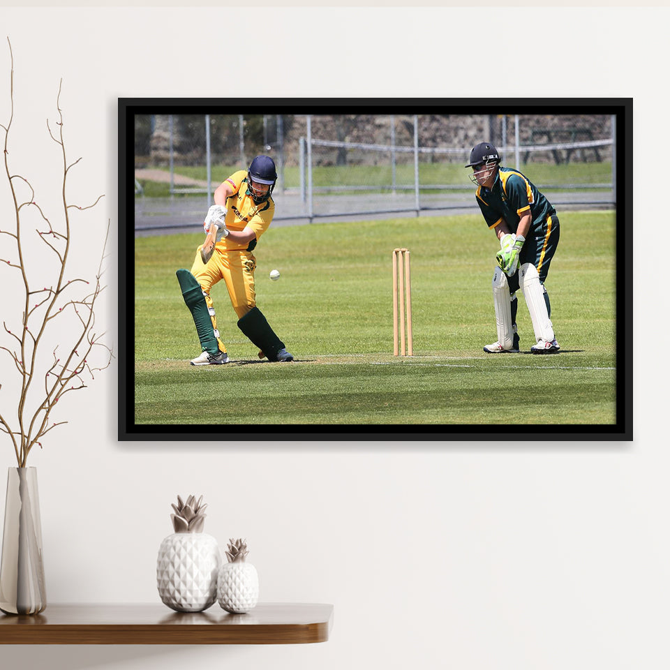 Northland Cricket, Stadium Canvas, Sport Art, Gift for him, Framed Canvas Prints Wall Art Decor, Framed Picture