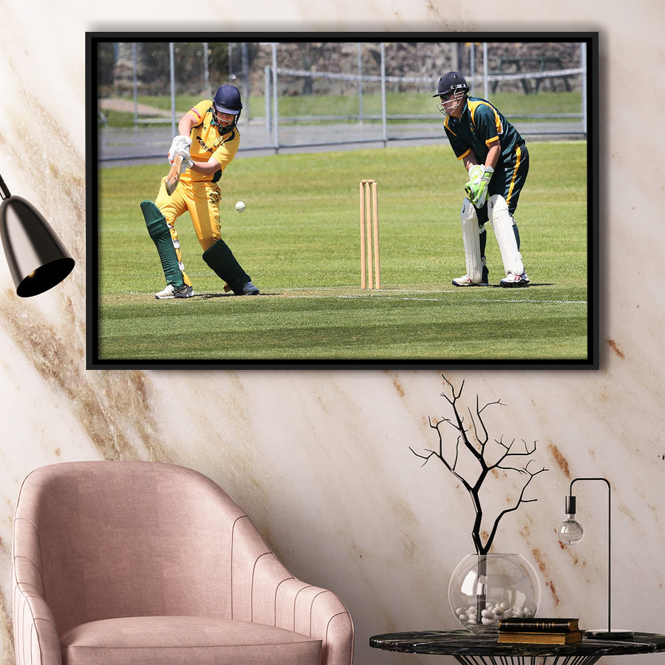 Northland Cricket, Stadium Canvas, Sport Art, Gift for him, Framed Canvas Prints Wall Art Decor, Framed Picture