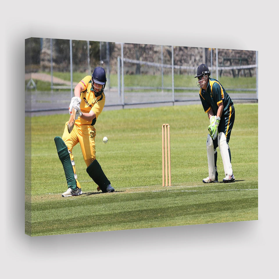 Northland Cricket, Stadium Canvas, Sport Art, Gift for him, Fan Gift, Canvas Prints Wall Art Decor