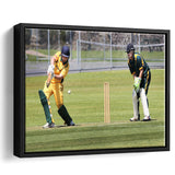 Northland Cricket, Stadium Canvas, Sport Art, Gift for him, Framed Canvas Prints Wall Art Decor, Framed Picture
