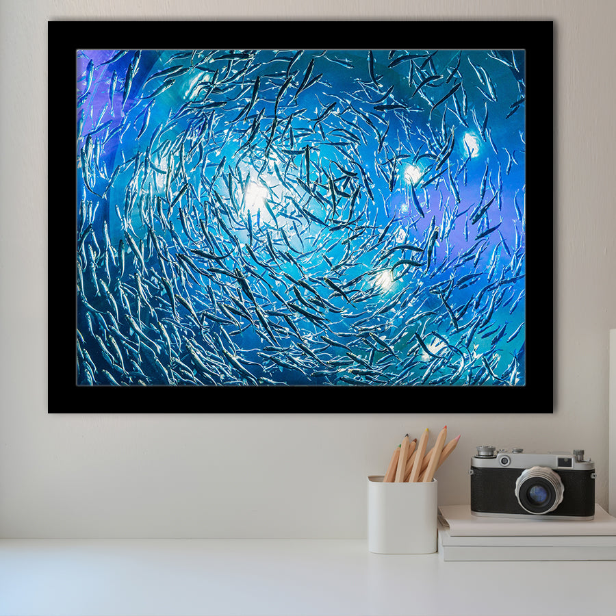 Ocean Underwater, Ocean Framed Art Prints Wall Art Decor,Black Frame, Ready to hang