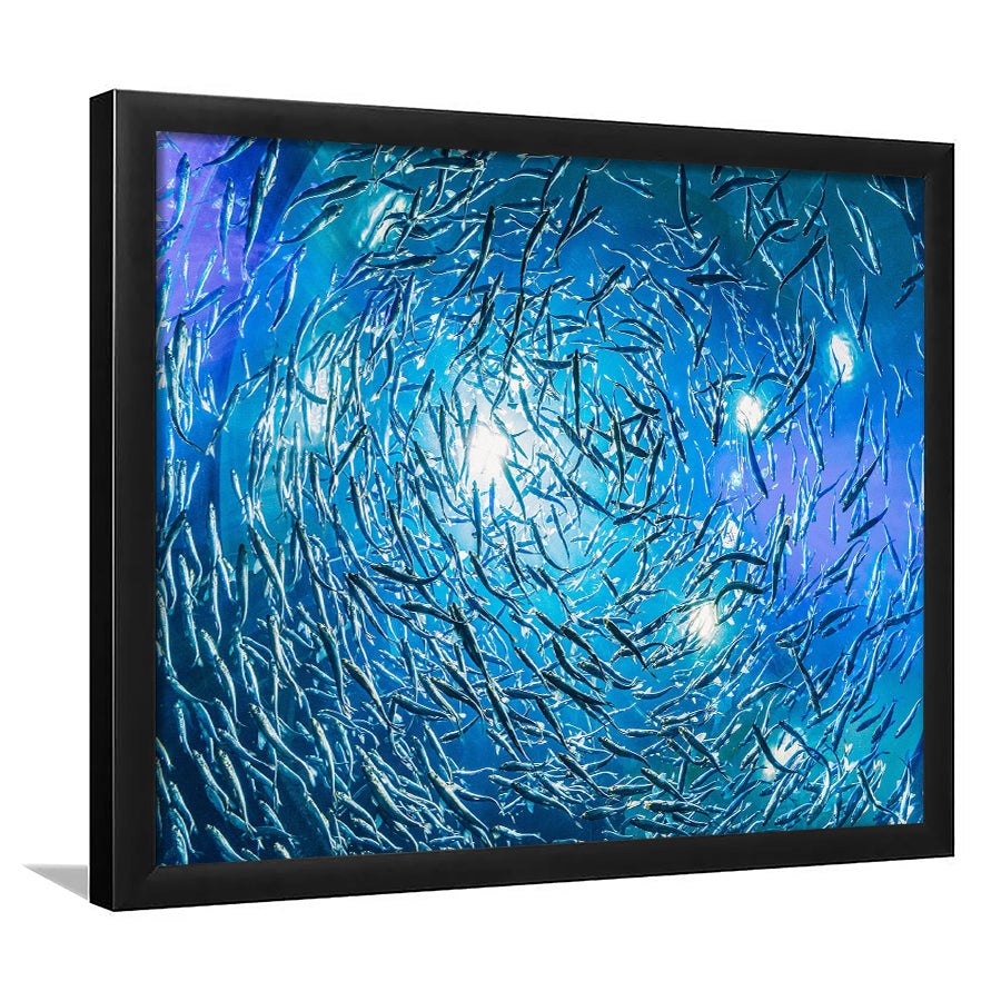 Ocean Underwater, Ocean Framed Art Prints Wall Art Decor,Black Frame, Ready to hang