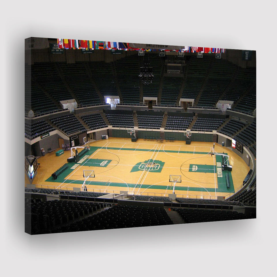 Ohio Bobcats Stadium Canvas Prints Convocation Center Wall Art Basketball,Sport Stadium Art Prints, Fan Gift, Wall Decor