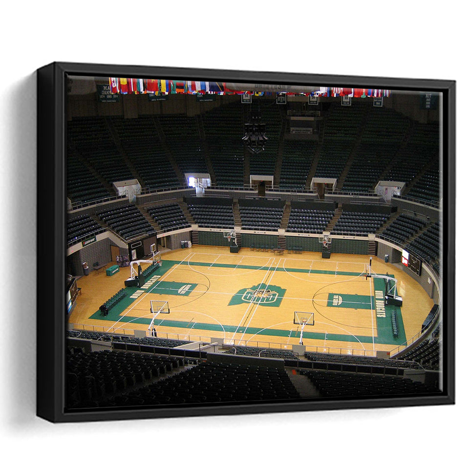 Ohio Bobcats Stadium Framed Canvas Prints Convocation Center Wall Art Basketball,Sport Stadium Art Prints, Fan Gift