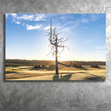 Old Macdonald Golf Course, Ghost Tree, Golf Art Print, Golf Lover, Canvas Prints Wall Art Decor