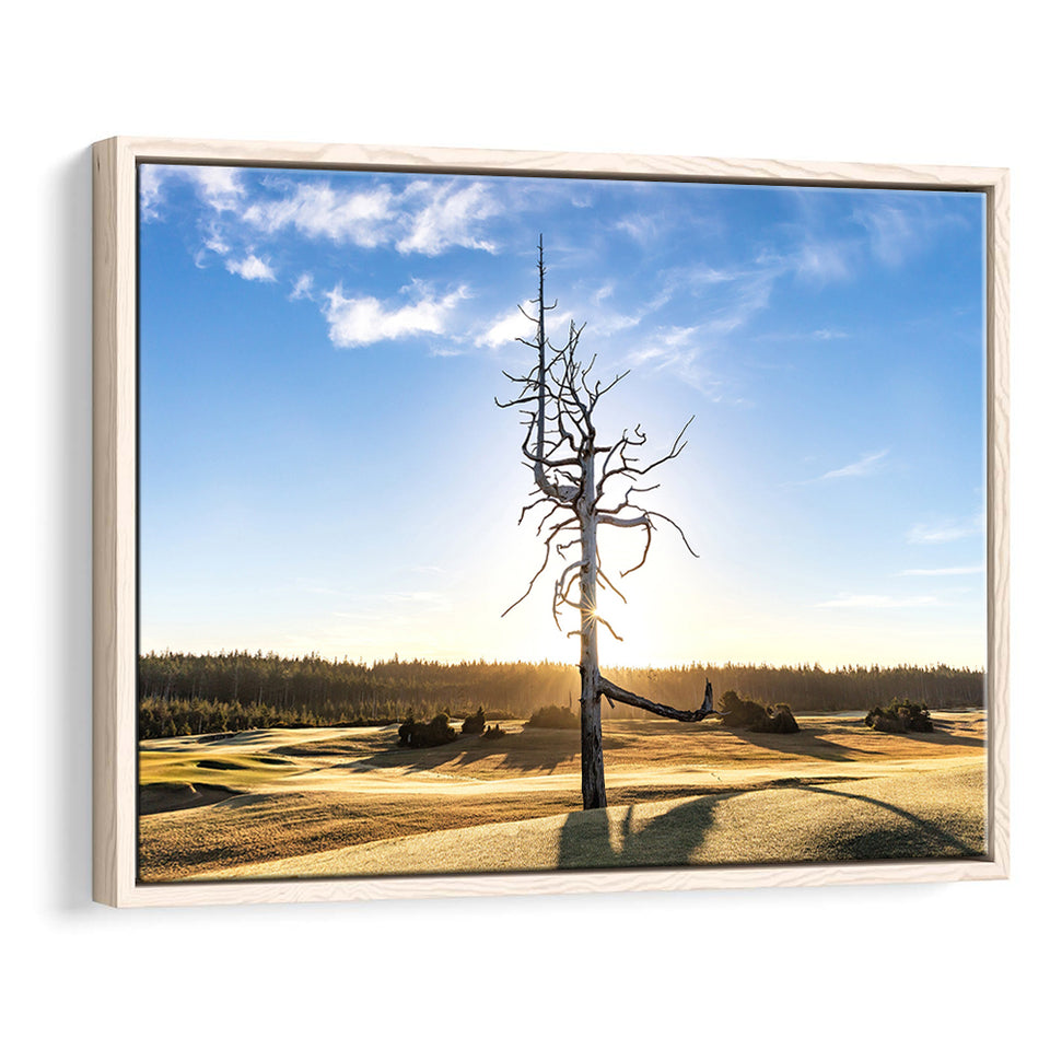 Old Macdonald Golf Course, Ghost Tree, Golf Art Print, Framed Canvas Prints Wall Art Decor, Floating Frame
