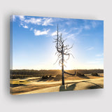 Old Macdonald Golf Course, Ghost Tree, Golf Art Print, Golf Lover, Canvas Prints Wall Art Decor