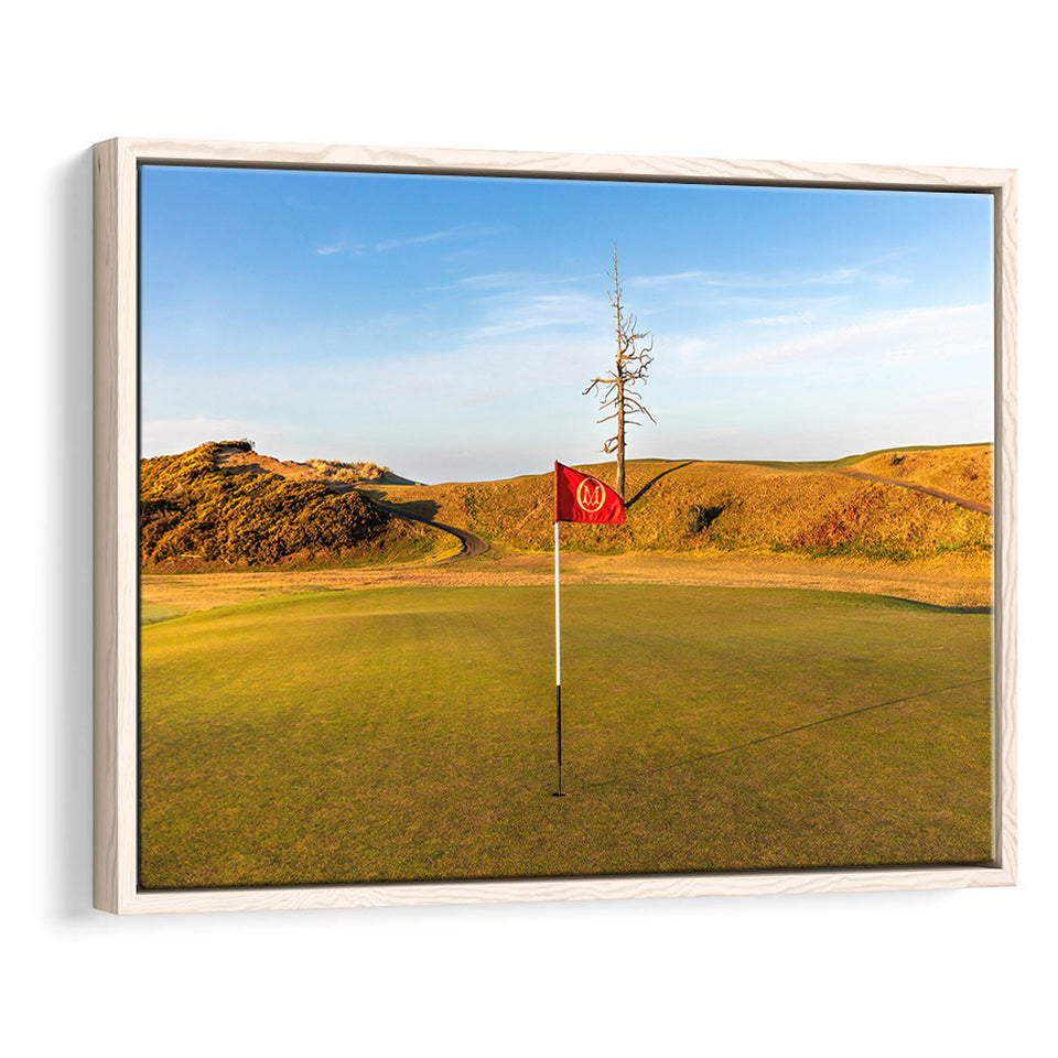 Old Macdonald Golf Course, Hole 2 With Ghost Tree, Golf Art Print, Framed Canvas Prints Wall Art Decor, Floating Frame