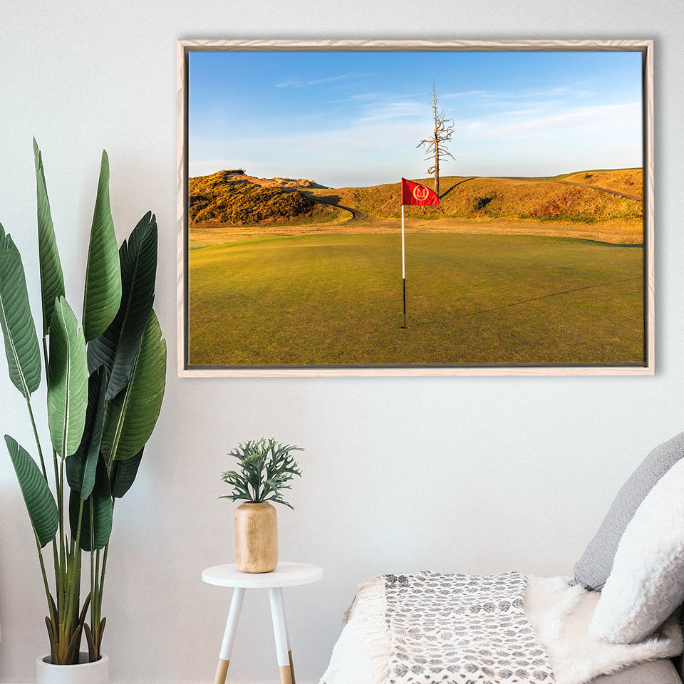 Old Macdonald Golf Course, Hole 2 With Ghost Tree, Golf Art Print, Framed Canvas Prints Wall Art Decor, Floating Frame