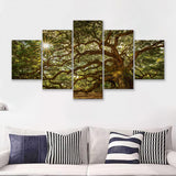 Old Oak Tree W Sunlight  5 Pieces Canvas Prints Wall Art - Painting Canvas, Multi Panels, 5 Panel, Wall Decor