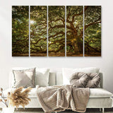 Old Oak Tree W Sunlight 5 Pieces B Canvas Prints Wall Art - Painting Canvas, Multi Panels,5 Panel, Wall Decor