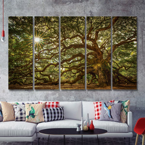 Old Oak Tree W Sunlight 5 Pieces B Canvas Prints Wall Art