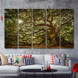 Old Oak Tree W Sunlight 5 Pieces B Canvas Prints Wall Art - Painting Canvas, Multi Panels,5 Panel, Wall Decor