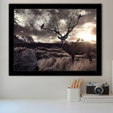 Old Deer In The Sunset Framed Art Prints Wall Decor - Painting Prints,Wall Art, Framed Picture,For Sale
