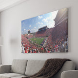 Ole Miss Rebels Wall Art Vaught Hemingway Stadium,Sport Stadium Art Prints, Fan Gift, Wall Decor