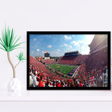 Ole Miss Rebels Wall Art Vaught Hemingway Stadium,Sport Stadium Art Prints, Fan Gift, Wall Decor