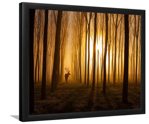 Once Upon a Time-Forest art, Art print, Plexiglass Cover