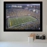 Oregon football Stadium, Stadium Canvas, Sport Art, Gift for him, Framed Art Prints Wall Art Decor, Framed Picture