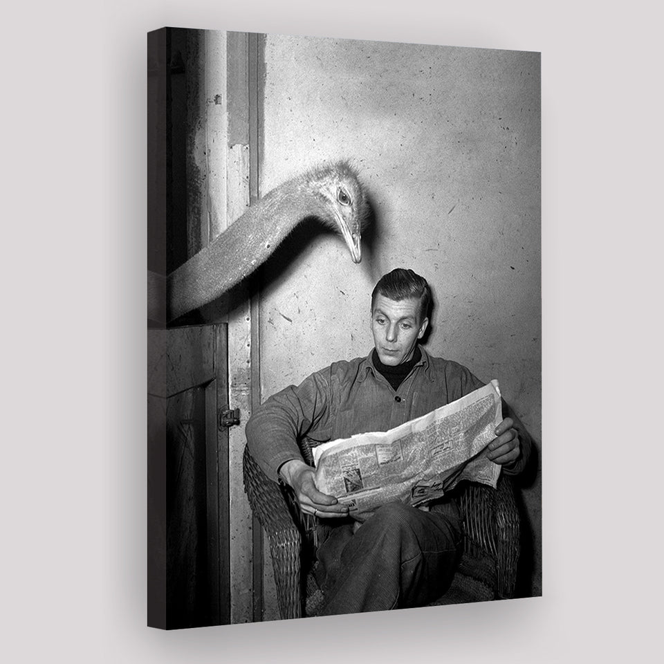 Ostrich Reading Newspaper Black And White Print Canvas Prints Wall Art Home Decor