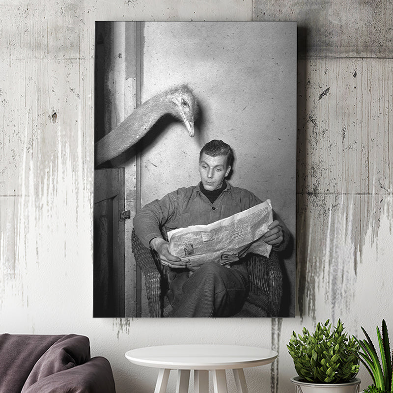 Ostrich Reading Newspaper Black And White Print Canvas Prints Wall Art Home Decor