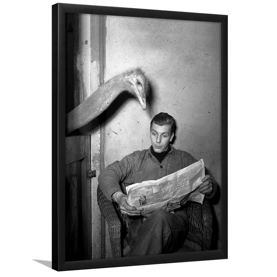 Ostrich Reading Newspaper Black And White Print Framed Art Print Wall Art Decor,Framed Picture