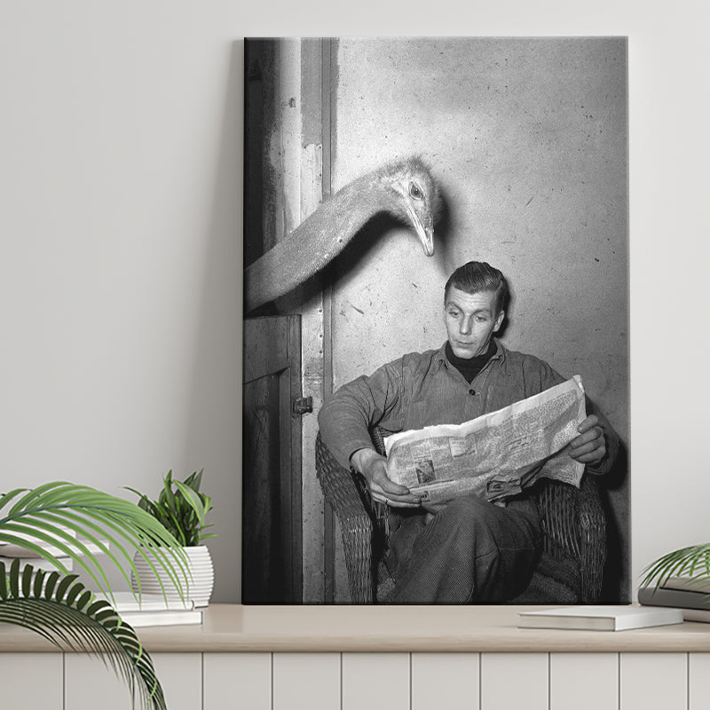 Ostrich Reading Newspaper Black And White Print Canvas Prints Wall Art Home Decor