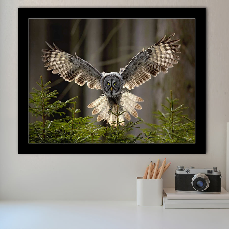 Owl in Forest Large Framed Art Prints Wall Decor - Painting Prints, Framed Picture, Home Decor