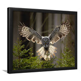 Owl in Forest Large Framed Art Prints Wall Decor - Painting Prints, Framed Picture, Home Decor