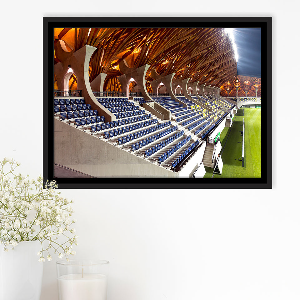 Pancho Arena in Hungary, Stadium Canvas, Sport Art, Gift for him, Framed Canvas Prints Wall Art Decor, Framed Picture