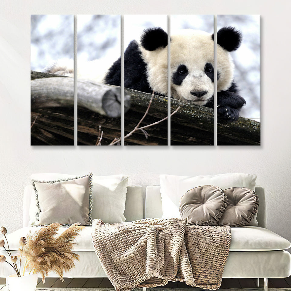 Panda Bears Cute Animals 5 Pieces B Canvas Prints Wall Art - Painting Canvas, Multi Panels,5 Panel, Wall Decor