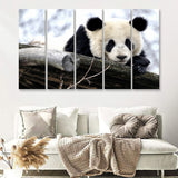 Panda Bears Cute Animals 5 Pieces B Canvas Prints Wall Art - Painting Canvas, Multi Panels,5 Panel, Wall Decor