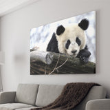 Panda Bears Cute Animals Canvas Prints Wall Art - Painting Canvas, Home Wall Decor, Painting Prints, For Sale