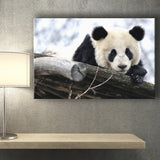 Panda Bears Cute Animals Canvas Prints Wall Art - Painting Canvas, Home Wall Decor, Painting Prints, For Sale
