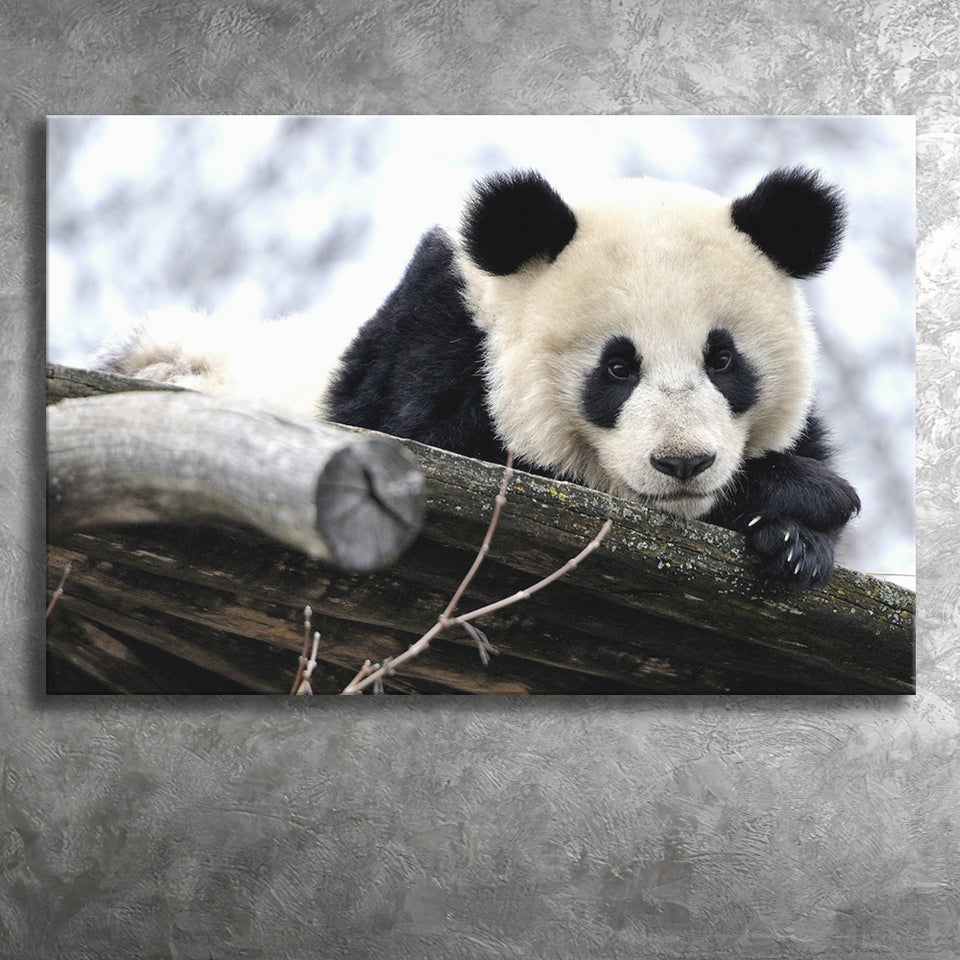 Panda Bears Cute Animals Canvas Prints Wall Art - Painting Canvas, Home Wall Decor, Painting Prints, For Sale
