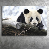 Panda Bears Cute Animals Canvas Prints Wall Art - Painting Canvas, Home Wall Decor, Painting Prints, For Sale