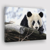 Panda Bears Cute Animals Canvas Prints Wall Art - Painting Canvas, Home Wall Decor, Painting Prints, For Sale