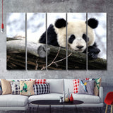 Panda Bears Cute Animals 5 Pieces B Canvas Prints Wall Art - Painting Canvas, Multi Panels,5 Panel, Wall Decor